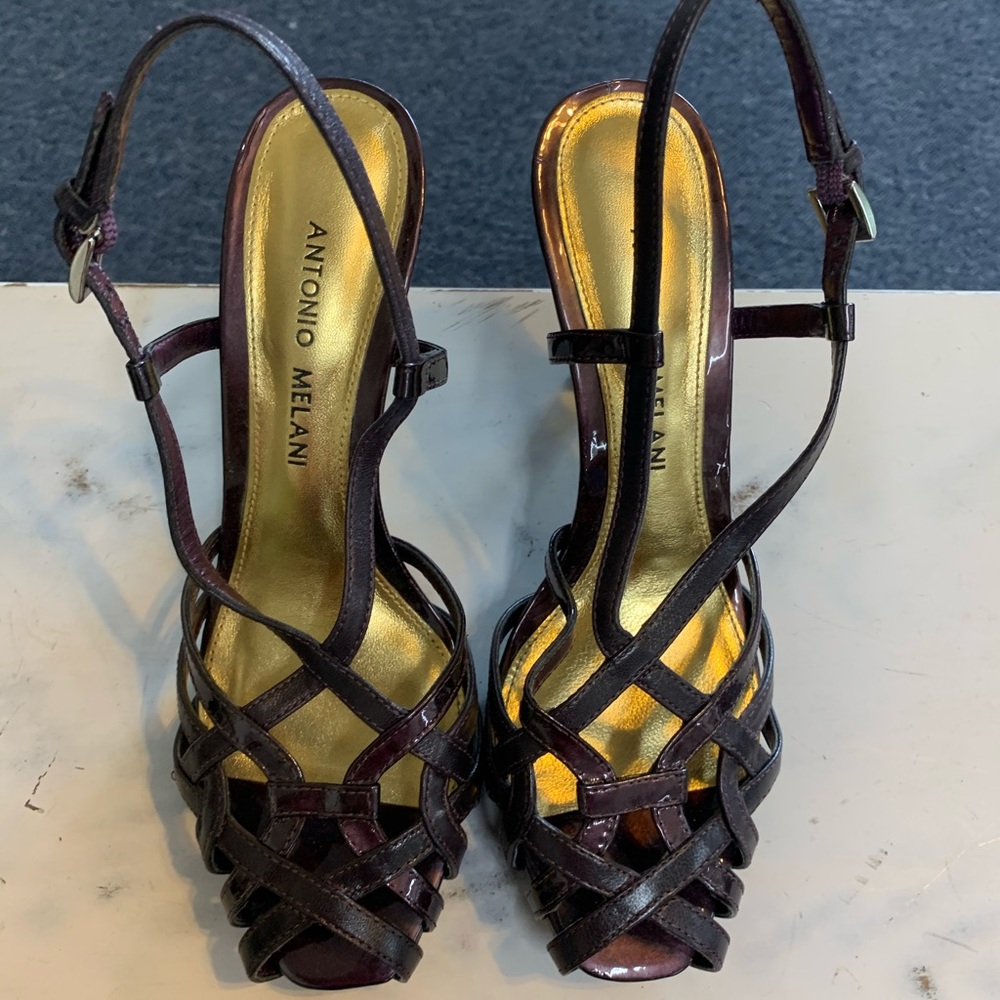 Antonio Melani purple heels.